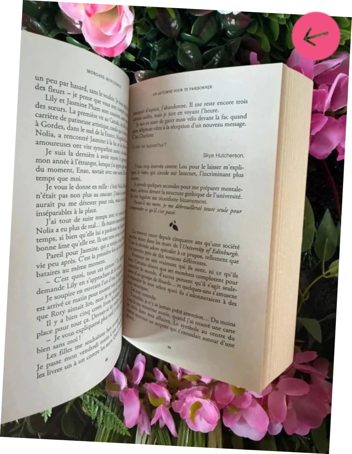 A Fall to Forgive You Morgane moncomble Book – photo 7